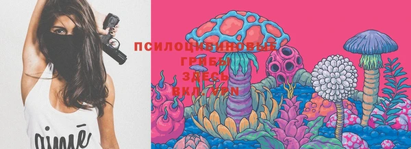 каннабис Алзамай