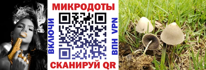 закладки  OMG tor  Псилоцибиновые грибы MAGIC MUSHROOMS  Амурск 