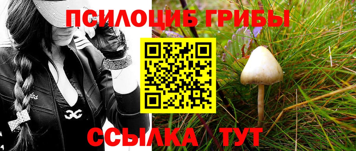 Галлюциногенные грибы мухоморы Амурск