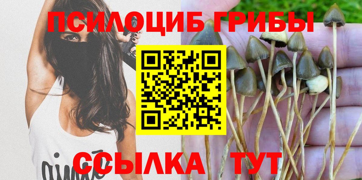 Амурск  Галлюциногенные грибы MAGIC MUSHROOMS  Псилоцибиновые грибы MAGIC MUSHROOMS  как найти закладки  Вход с VPN 